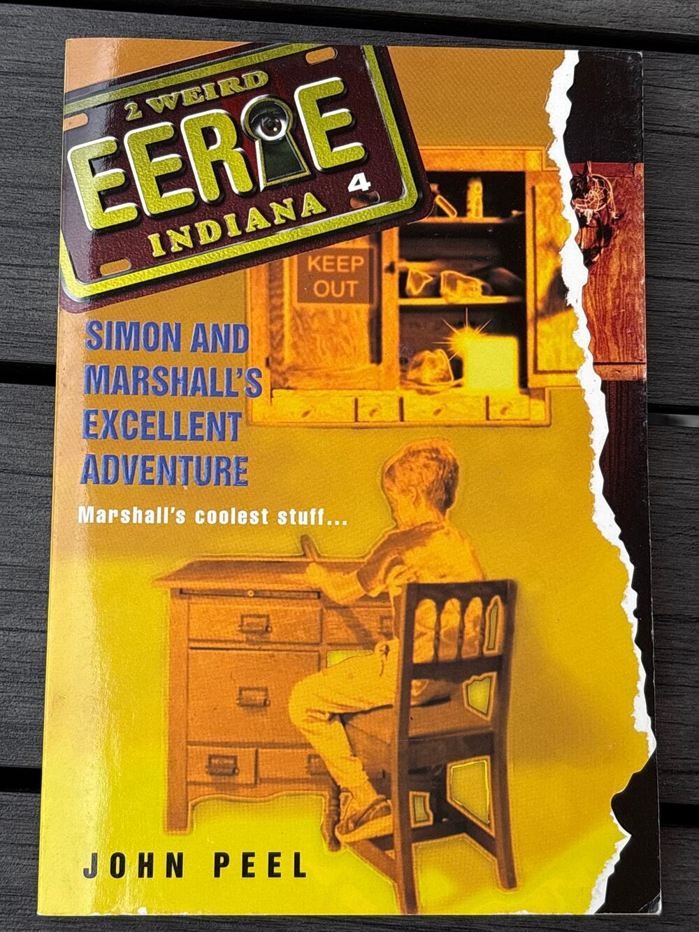 Simon And Marshall’s Excellent Adventure (Eerie Indiana #4) John Peel 1997 VTG